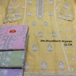 Dm Divyabharti Organza