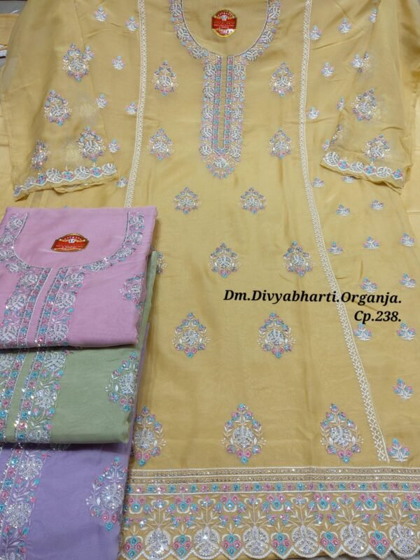 Dm Divyabharti Organza
