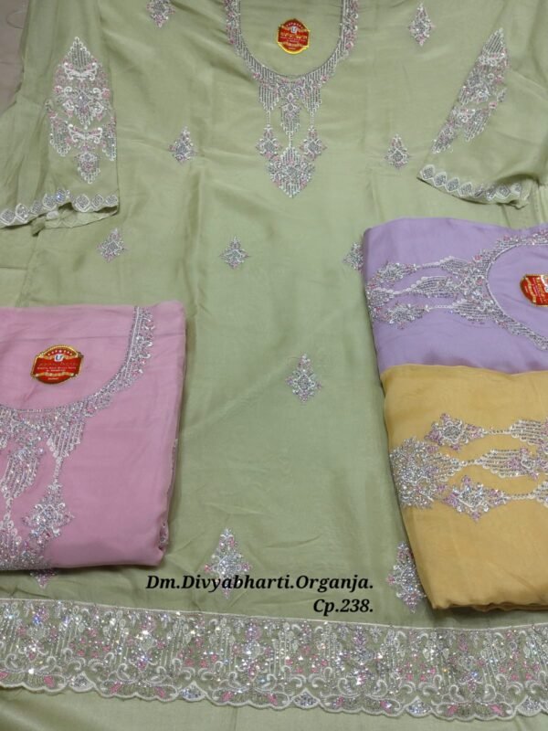 Dm Divyabharti Organza