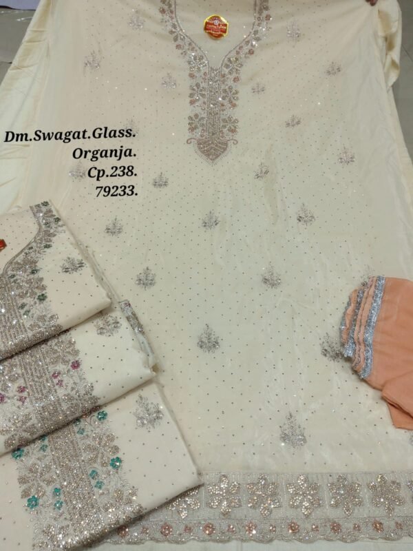 Dm Swagat Glass Organza