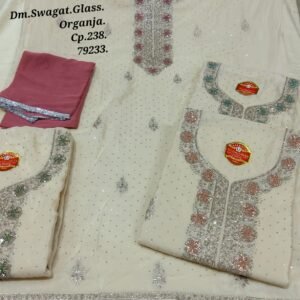 Dm Swagat Glass Organza