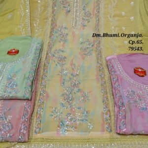 Dm Bhumi Organza