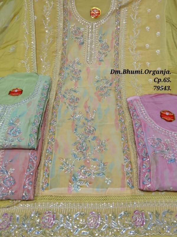 Dm Bhumi Organza