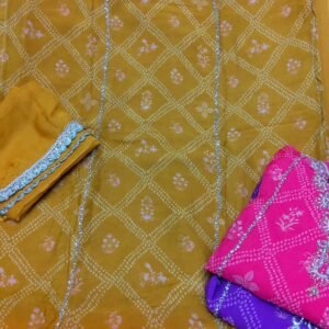 Dm Aabha Organza