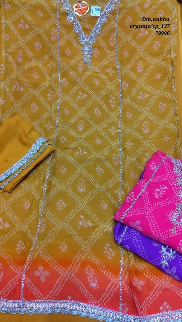 Dm Aabha Organza