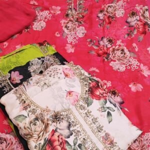 Dm Pakhi Organza