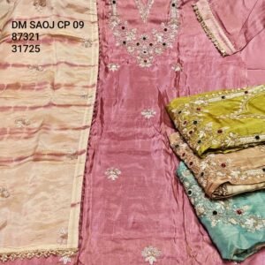 DM SAOJ CP-09 , 87321